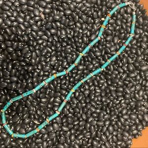 Handmade turquoise and spiny oyster necklace